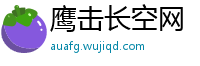 鹰击长空网